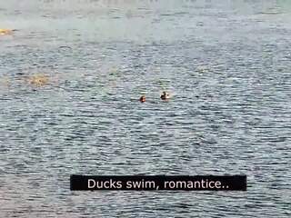 Romantico pompino su il spiaggia di amore con ducks: porno 01 | youporn